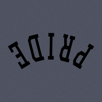 Load image into Gallery viewer, 253d8181-3f34-4dd1-a360-c1c8f6f16118